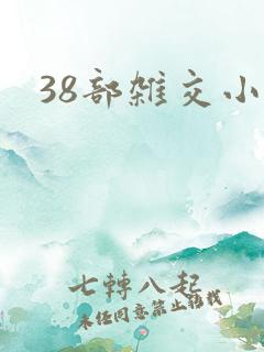 38部杂交小说