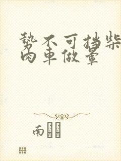 势不可挡柴鸡蛋肉车做晕