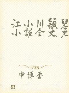 江小川颖儿穿越小说全文免费阅读