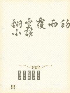 翻云覆雨的秘密小说