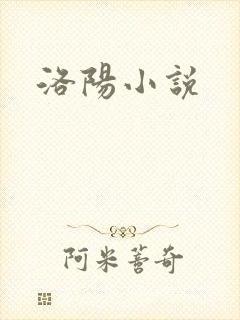 洛阳小说