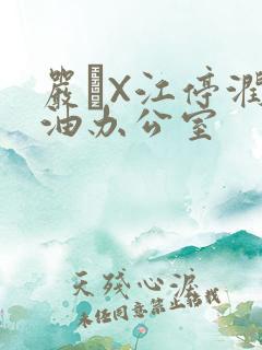 严峫X江停润滑油办公室