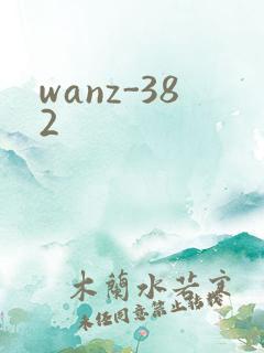 wanz-382