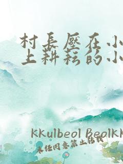 村长压在小娥身上耕耘的小说