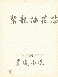 紫龙插花芯方正