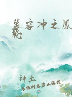 慕容冲之凤凰于飞