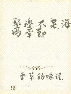 鬓边不是海棠红肉章节