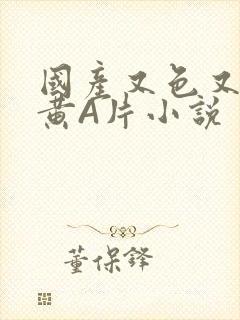 国产又色又爽又黄A片小说