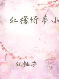 红楼绮梦小说