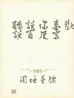 听说你喜欢我小说百度云