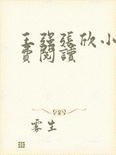 王强张欣小说免费阅读