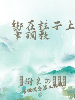 绑在柱子上用毛笔调教