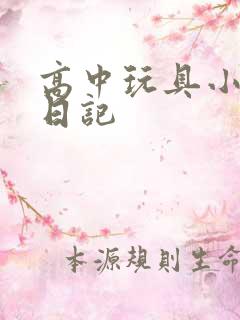 高中玩具小诗的日记