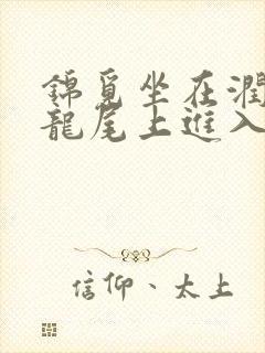 锦觅坐在润玉的龙尾上进入
