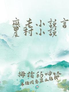 恋老小说言情网农村小说