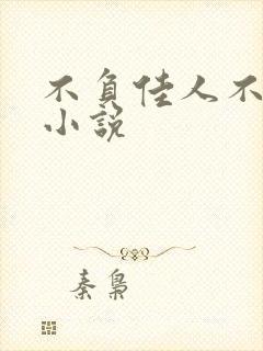 不负佳人不负卿小说