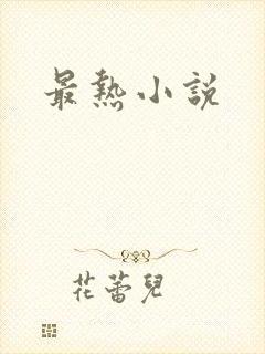 最热小说