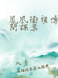 凤凰卫视傅晓田间谍案