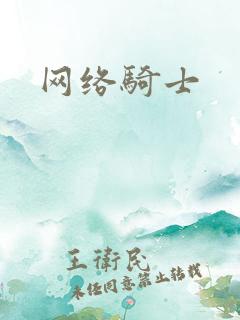 网络骑士