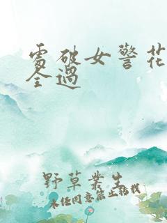 处破女警花处破全过