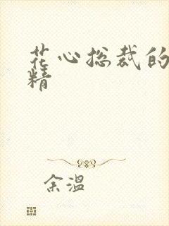 花心总裁的小妖精