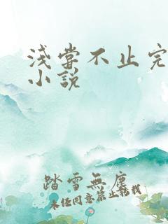 浅尝不止完整版小说