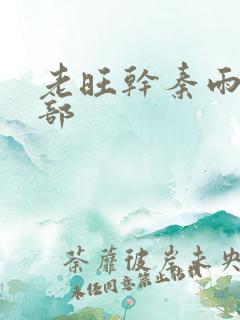 老旺干秦雨第二部