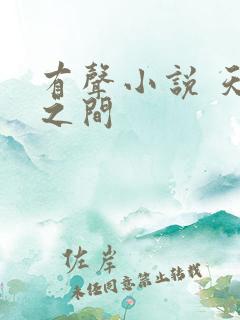 有声小说 天地之间