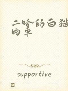 二哈的白猫师尊肉车