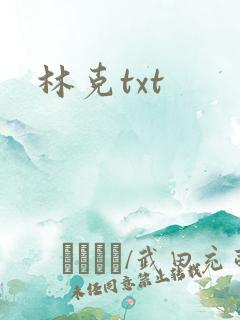 林克txt