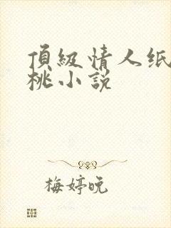顶级情人纸皮核桃小说