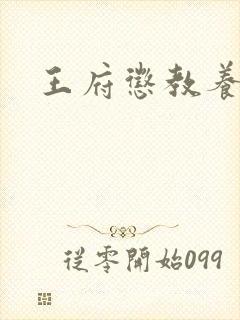 王府惩教养日常