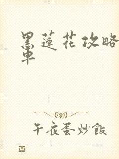 黑莲花攻略手册车