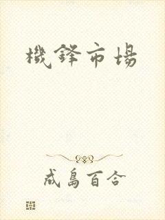 机锋市场