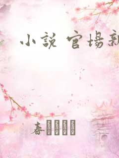 小说 官场新贵