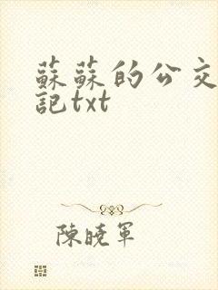 苏苏的公交车日记txt