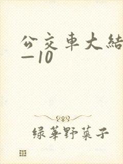 公交车大结局6—10