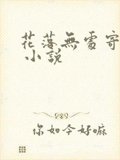 花落无处寄相思 小说