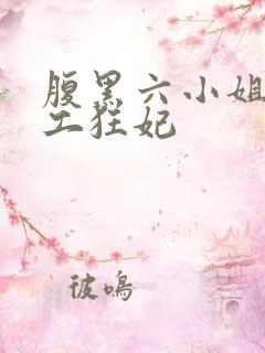 腹黑六小姐 特工狂妃