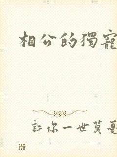 相公的独宠妻子