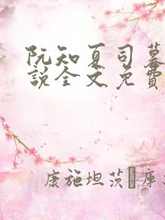 阮知夏司暮寒小说全文免费