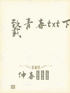 致青春txt下载
