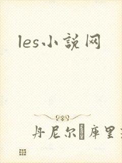 les小说网