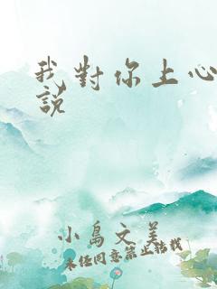 我对你上心了小说