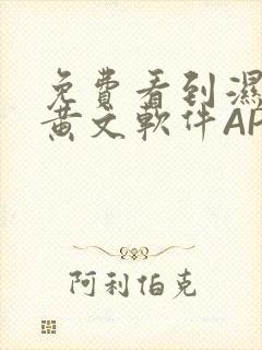 免费看到湿的小黄文软件APP