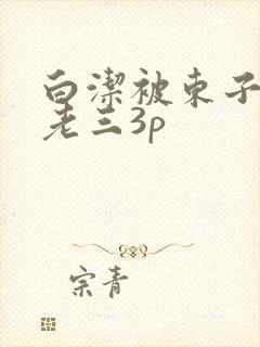 白洁被东子老二老三3p