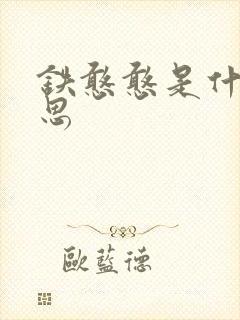 铁憨憨是什么意思