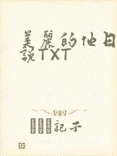 美丽的他日剧小说TXT