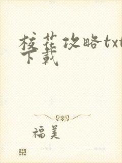 校花攻略txt下载