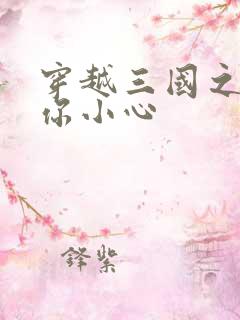 穿越三国之孔明你小心